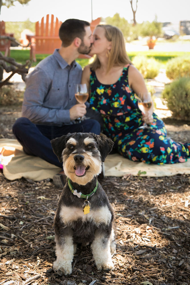 Paso Robles Wedding Photographer J Dusi 069.jpg