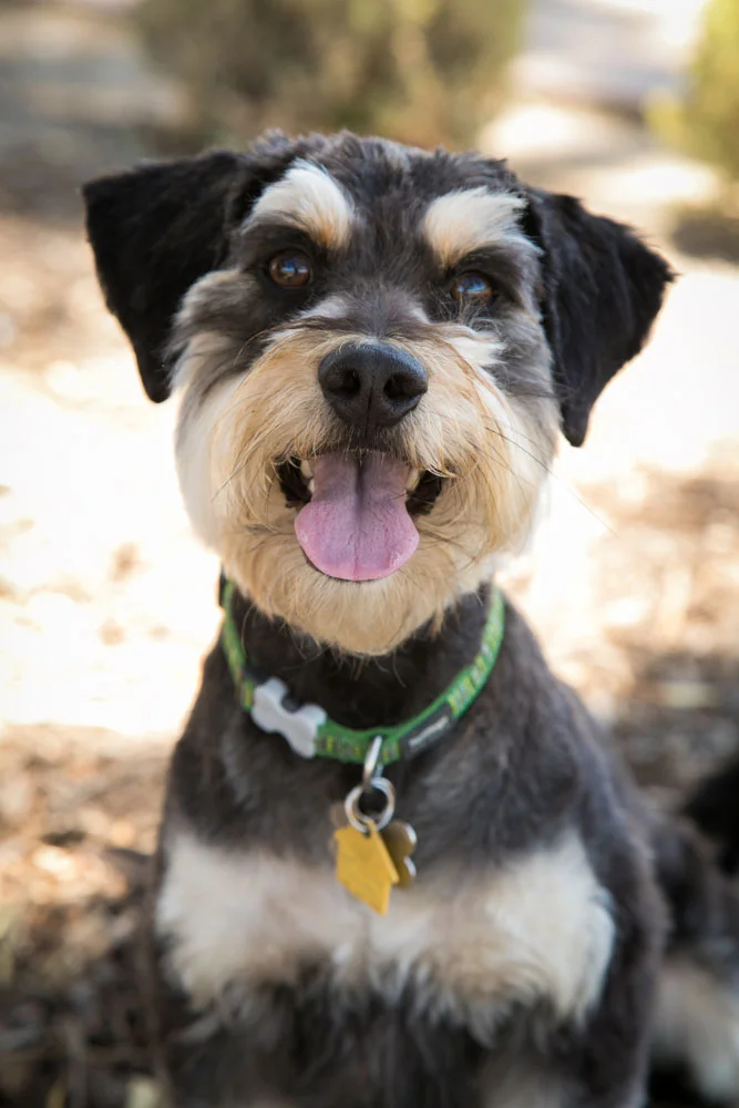 Paso Robles Wedding Photographer J Dusi 070.jpg