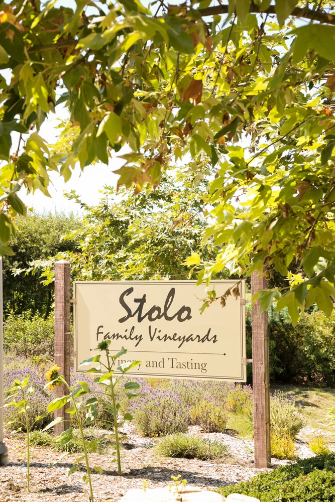 Cambria Wedding Photographer Stolo Family Vineyard 010.jpg