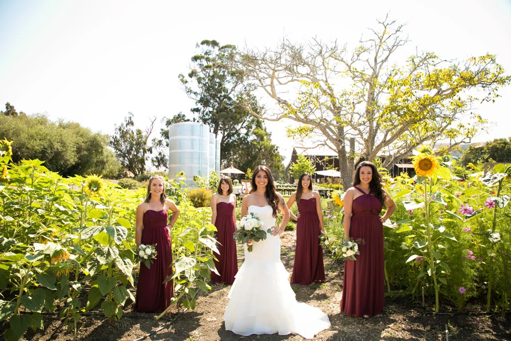 Cambria Wedding Photographer Stolo Family Vineyard 014.jpg