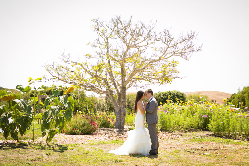 Cambria Wedding Photographer Stolo Family Vineyard  100.jpg