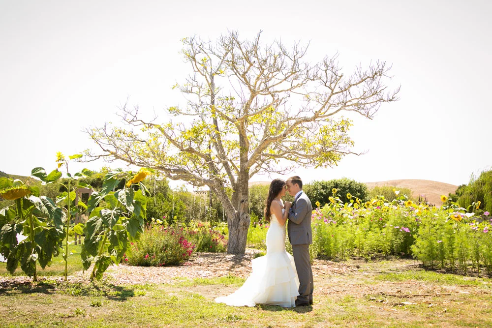 Cambria Wedding Photographer Stolo Family Vineyard 100.jpg