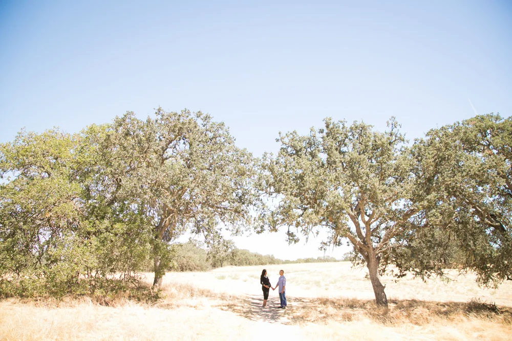 Paso Robles Family Photography Maternity Session 046.jpg
