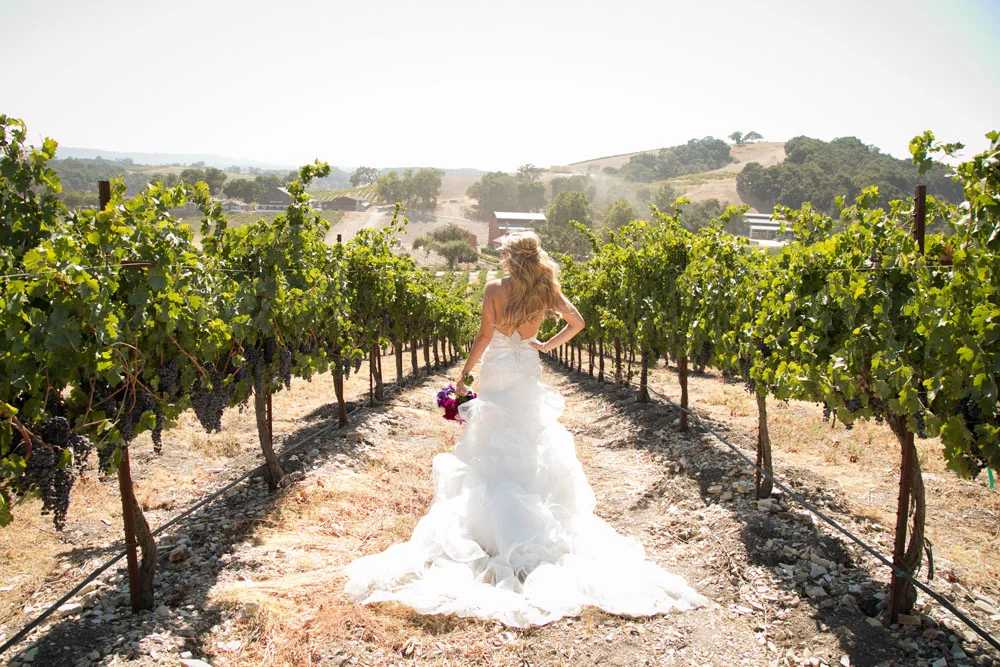Paso Robles Wedding Photographer Tooth and Nail Winery 023.jpg