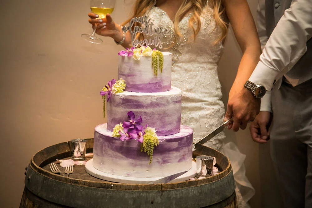Paso Robles Wedding Photographer Tooth and Nail Winery 201.jpg