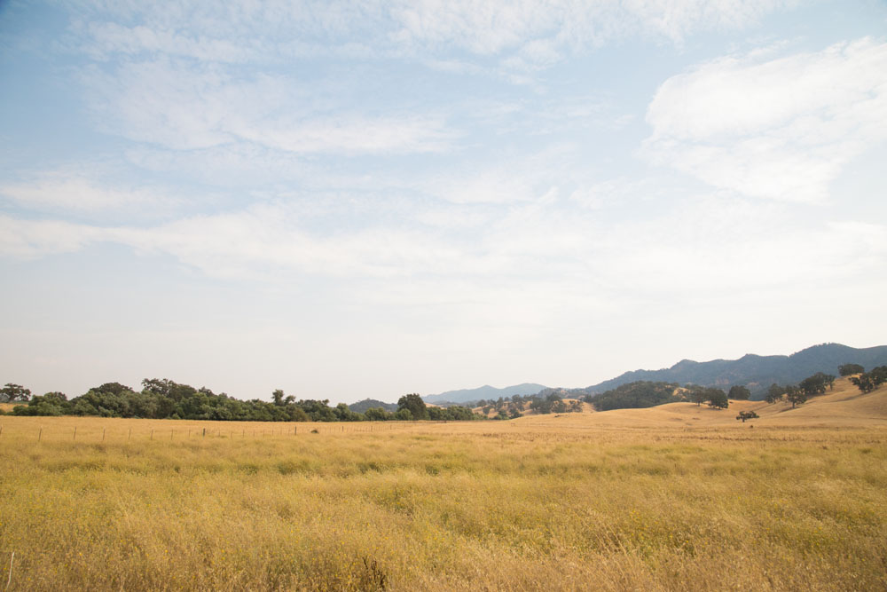 Paso Robles Wedding Photographer Santa Margarita  059.jpg