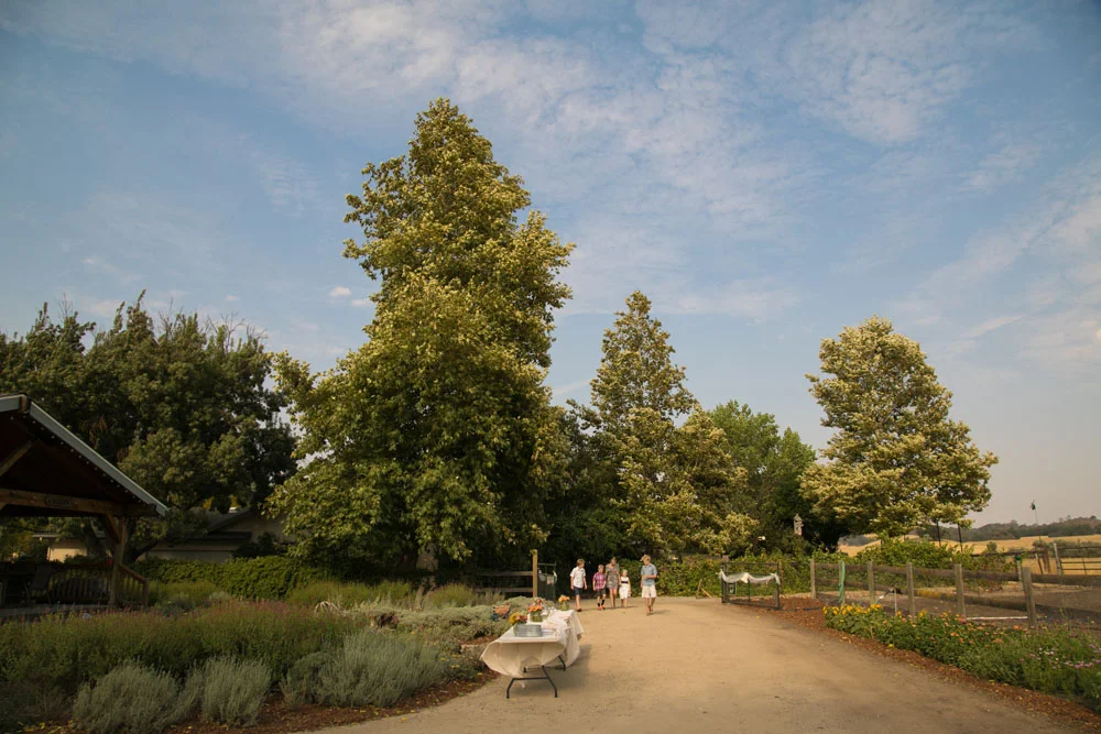 Paso Robles Wedding Photographer Santa Margarita  062.jpg