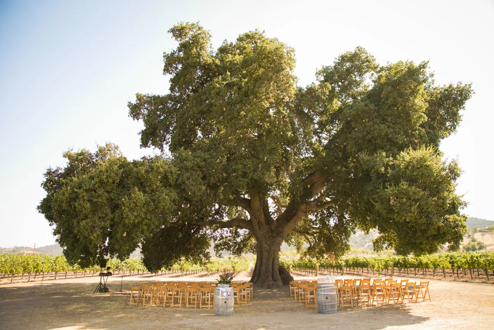 Paso Robles Wedding Photographer Vintage Ranch 050.jpg
