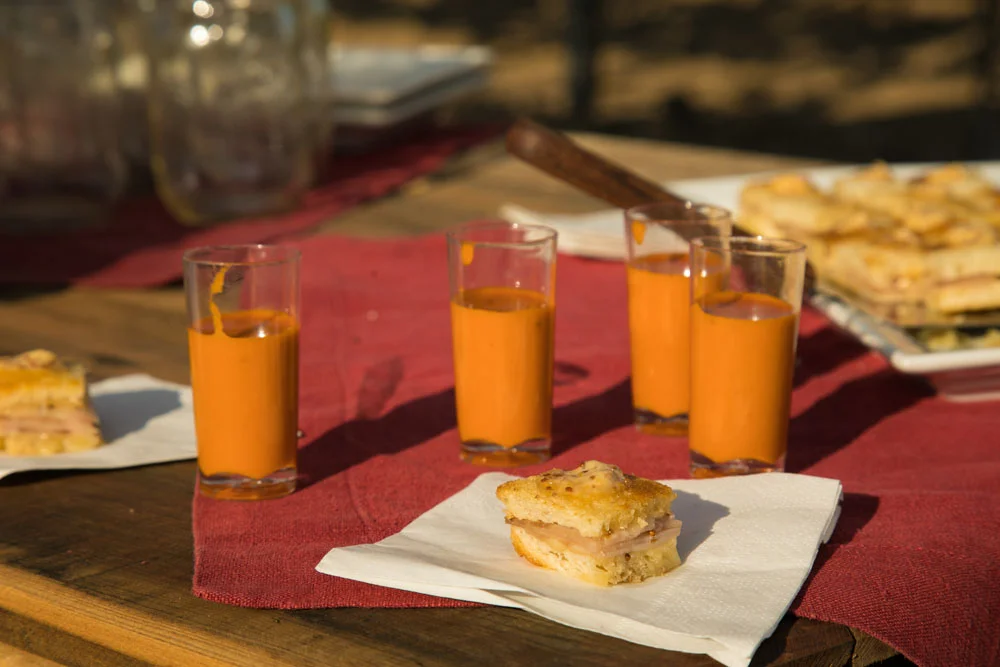 Paso Robles Wedding Photographer Vintage Ranch 101.jpg