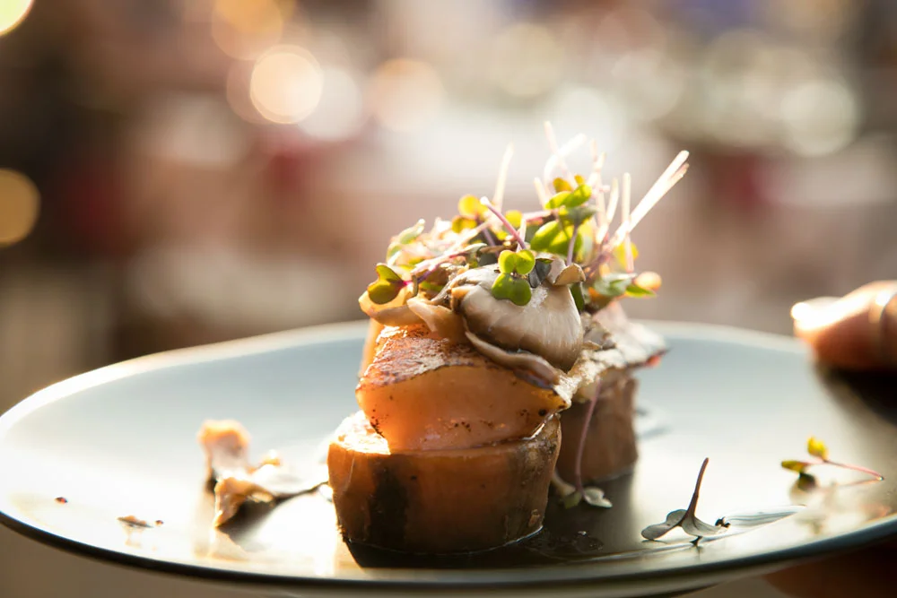 Paso Robles Wedding Photographer Vintage Ranch 120.jpg