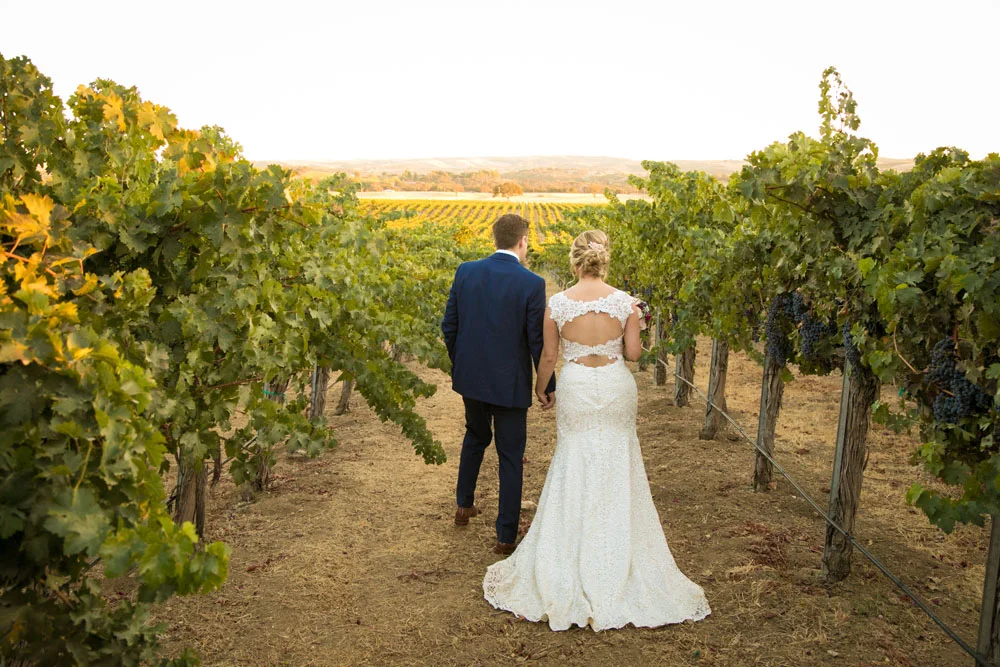 Paso Robles Wedding Photographer Still Waters Vineyard 111.jpg