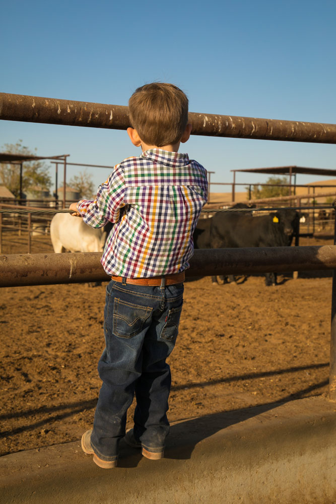 Paso Robles Family and Wedding Photographer 071.jpg