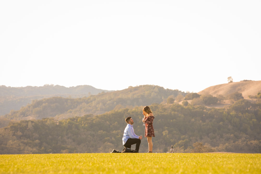 Paso Robles Proposal and Wedding Photographer Opolo Vineyards 008.jpg