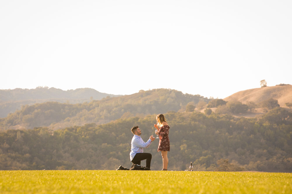 Paso Robles Proposal and Wedding Photographer Opolo Vineyards 009.jpg