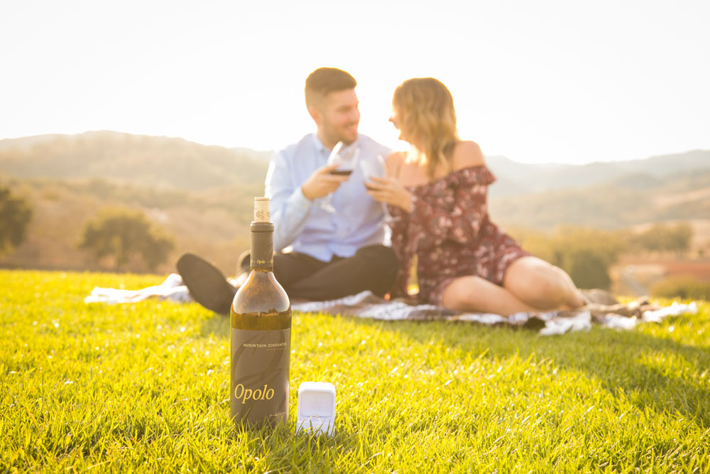 Paso Robles Proposal and Wedding Photographer Opolo Vineyards 050.jpg