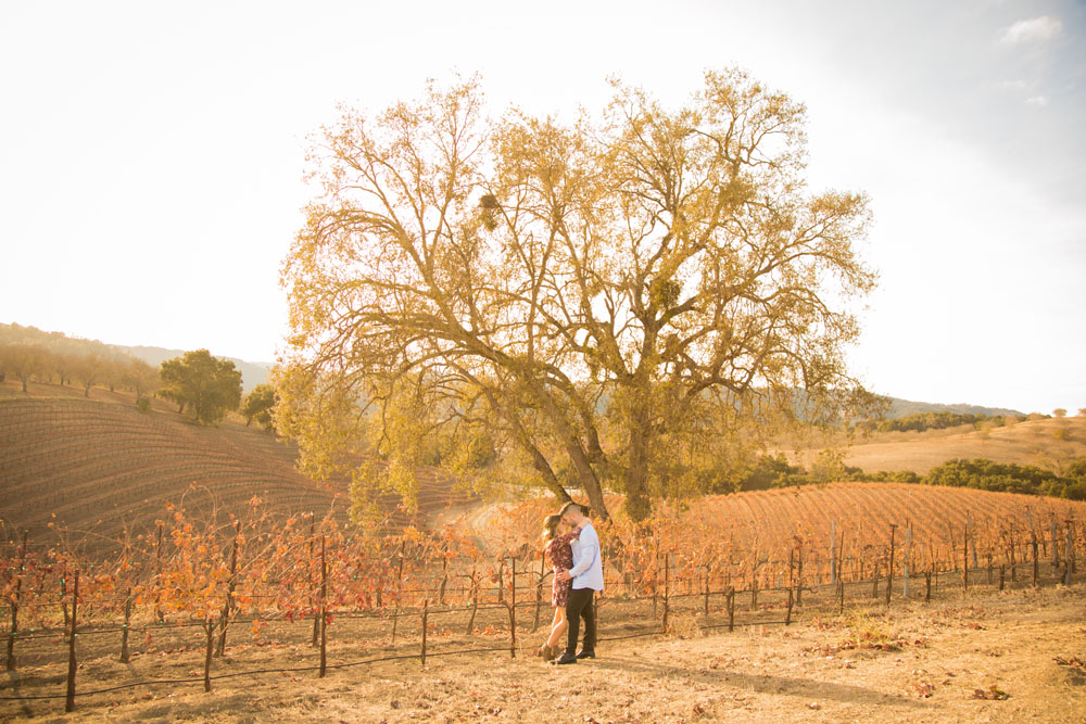 Paso Robles Proposal and Wedding Photographer Opolo Vineyards 073.jpg