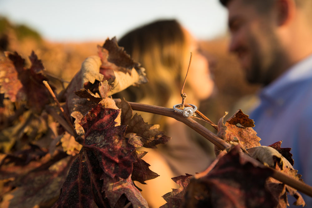 Paso Robles Proposal and Wedding Photographer Opolo Vineyards 080.jpg