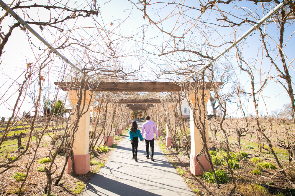 Paso Robles Wedding Photographer Castoro Cellars 009.jpg