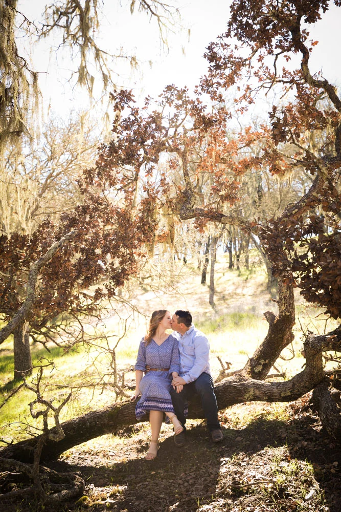 Paso Robles Wedding Photographer Oak Tree Grove 020.jpg