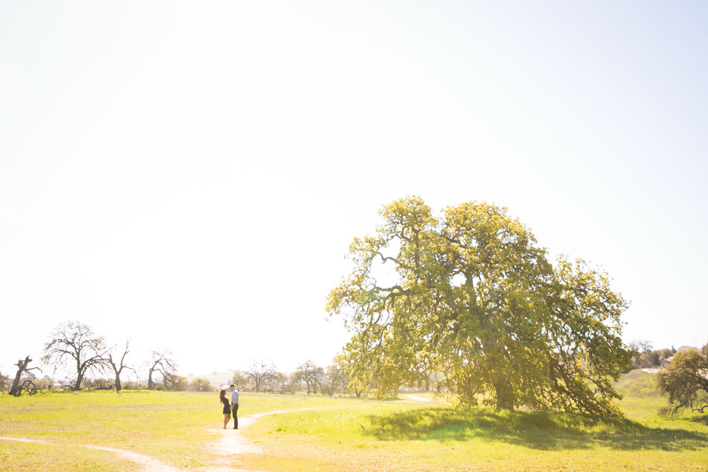 Paso Robles Wedding Photographer Engagement Session 014.jpg