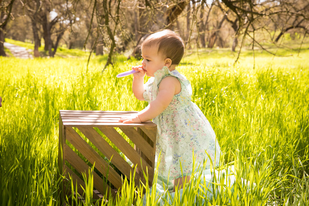 Paso Robles Wedding and Family Photographer 030.jpg