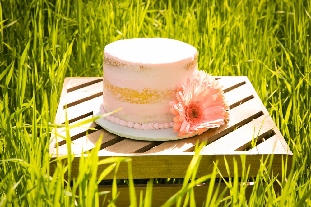 Paso Robles Wedding and Family Photographer 063.jpg