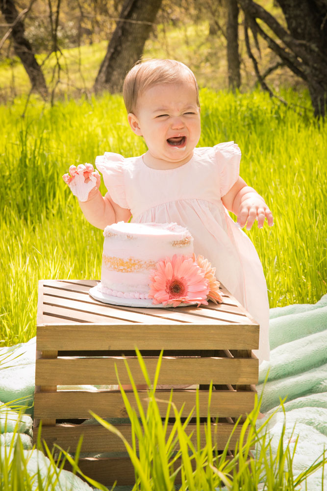 Paso Robles Wedding and Family Photographer 066.jpg