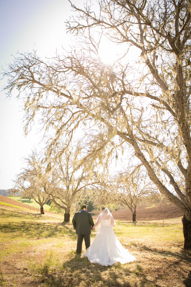 Paso Robles Wedding Photographer Opolo Vinyeards 043.jpg