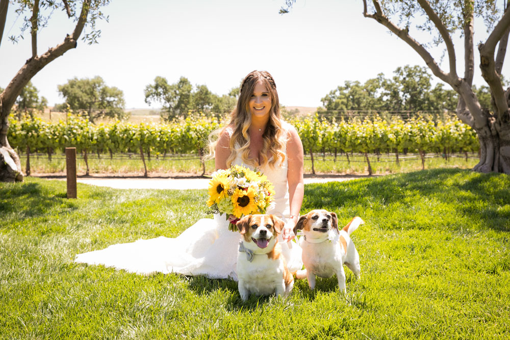Paso Robles Wedding Photographer Rava Vines021.jpg