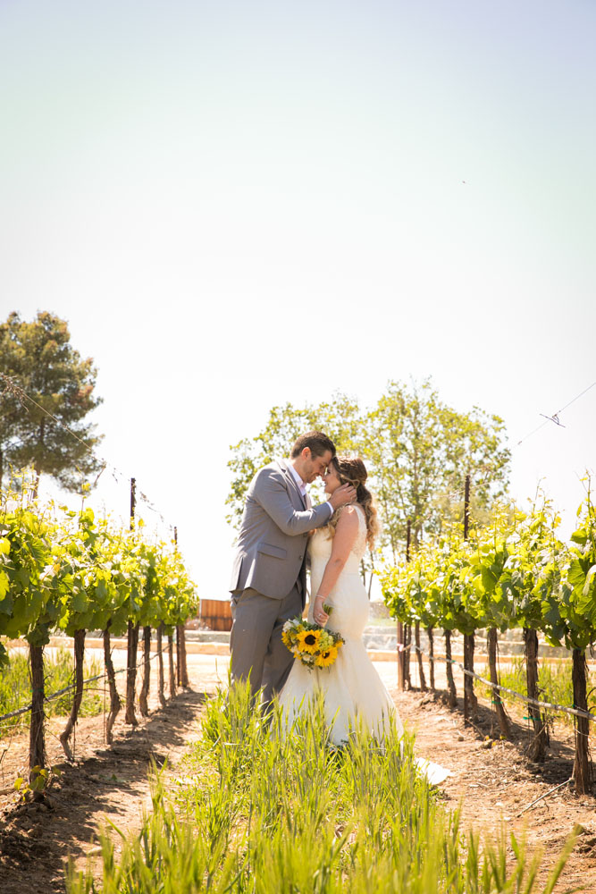 Paso Robles Wedding Photographer Rava Vines049.jpg