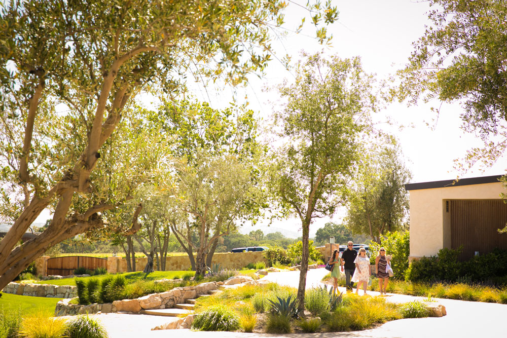 Paso Robles Wedding Photographer Rava Vines095.jpg