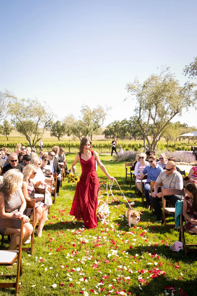 Paso Robles Wedding Photographer Rava Vines099.jpg