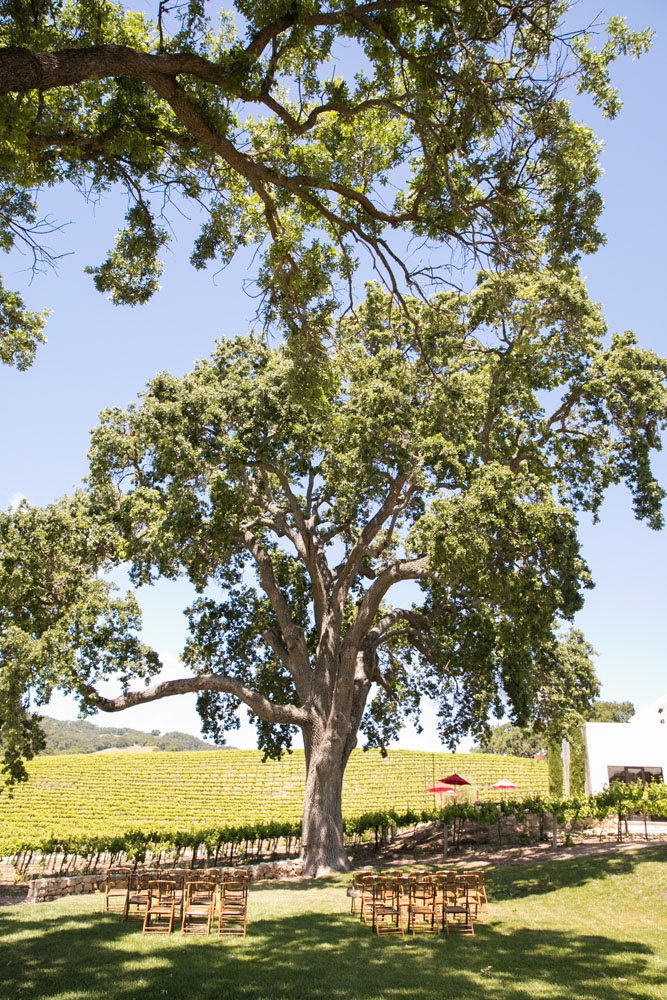 Paso Robles Wedding Photographer HammerSky Vineyard 002.jpg