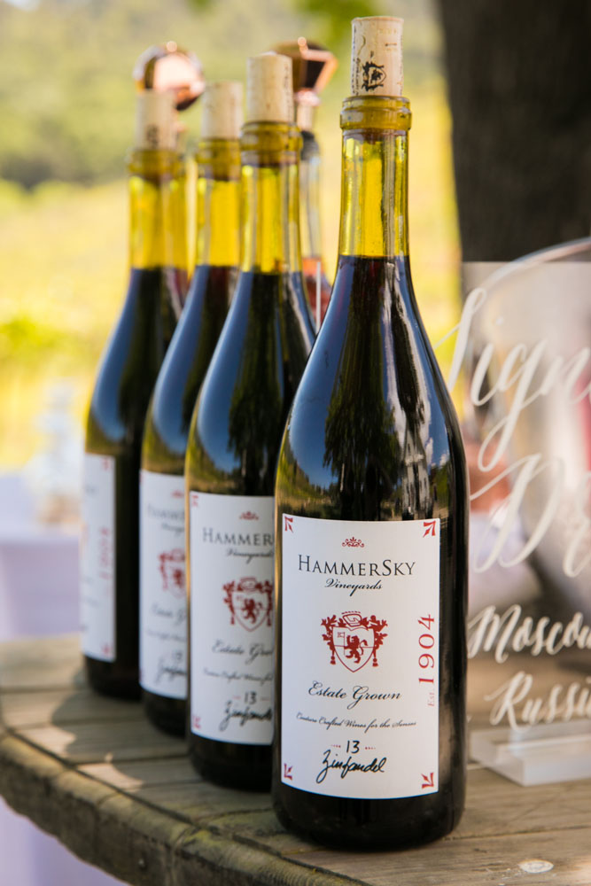 Paso Robles Wedding Photographer HammerSky Vineyard 062.jpg