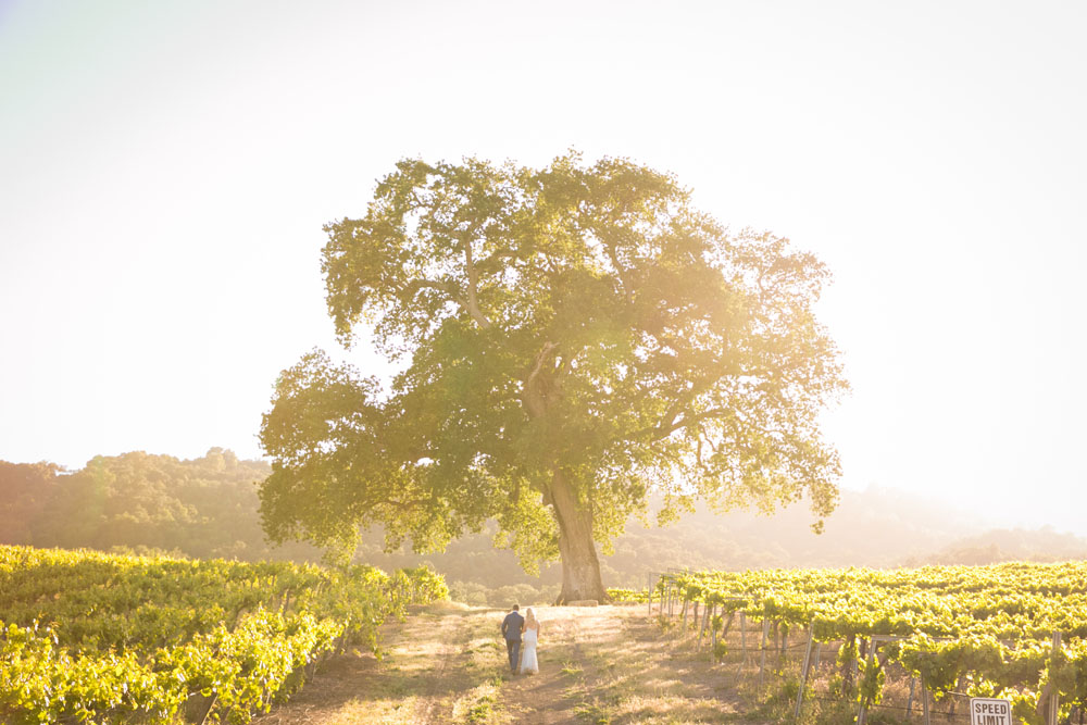 Paso Robles Wedding Photographer HammerSky Vineyard 160.jpg