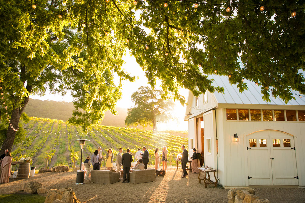 Paso Robles Wedding Photographer HammerSky Vineyard 181.jpg