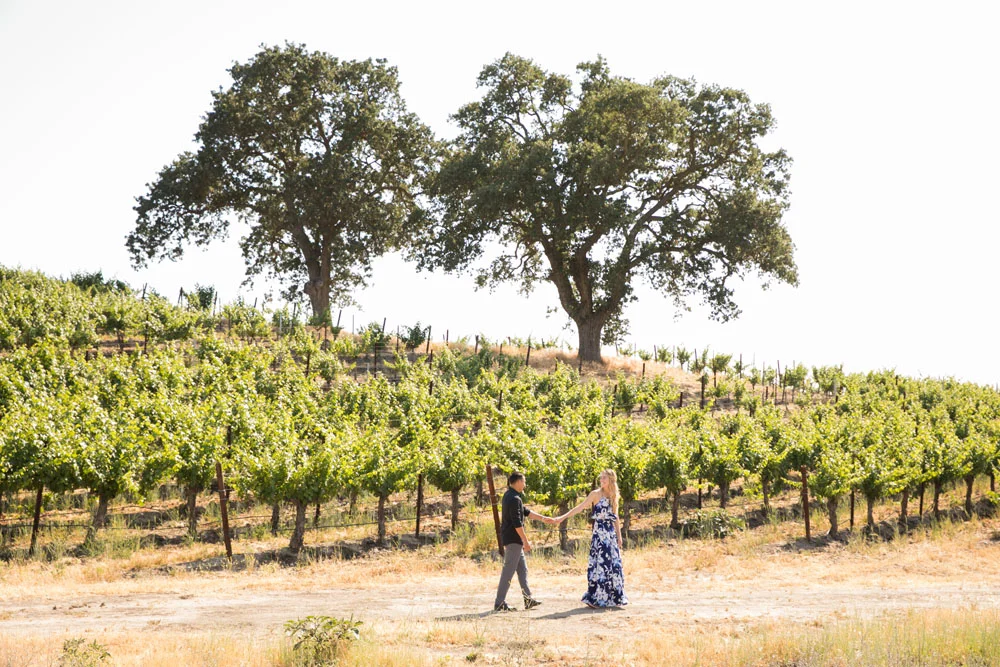 Paso Robles Wedding Photographer Engagement Session 033.jpg
