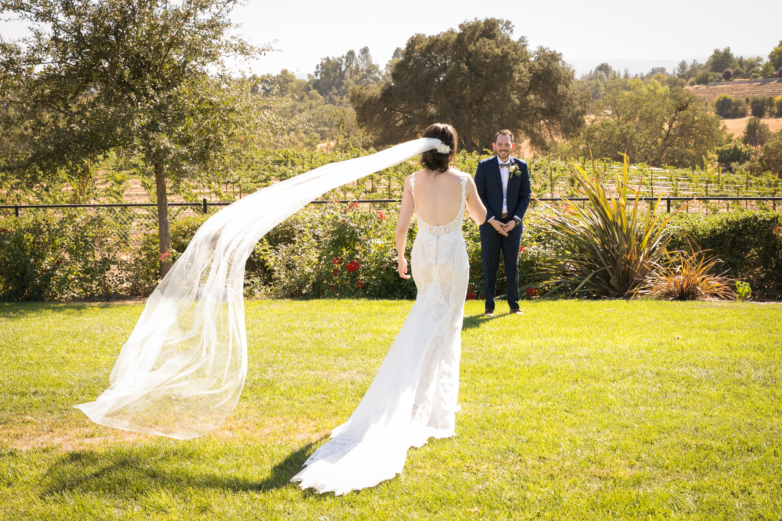 Paso Robles Wedding Photographer Arbor Oaks Vineyard 060.jpg