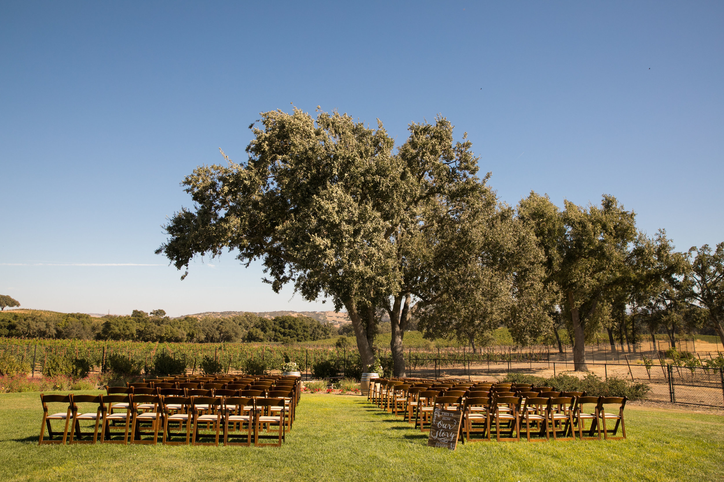 Paso Robles Wedding Photographer Arbor Oaks Vineyard 096.jpg