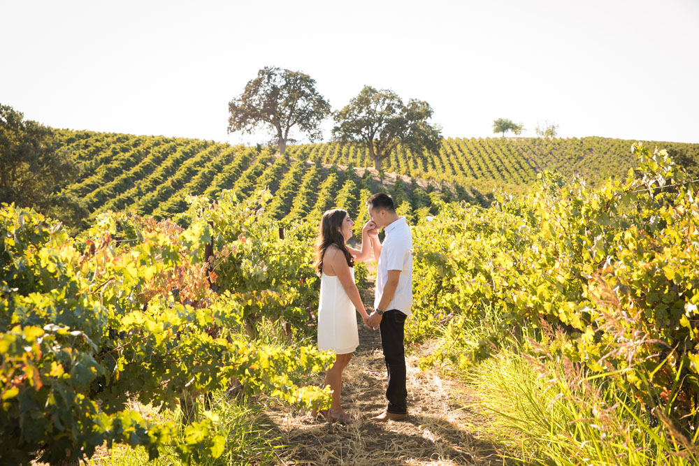 Paso Robles Wedding Photographer Vineyard Engagement Session 017.jpg