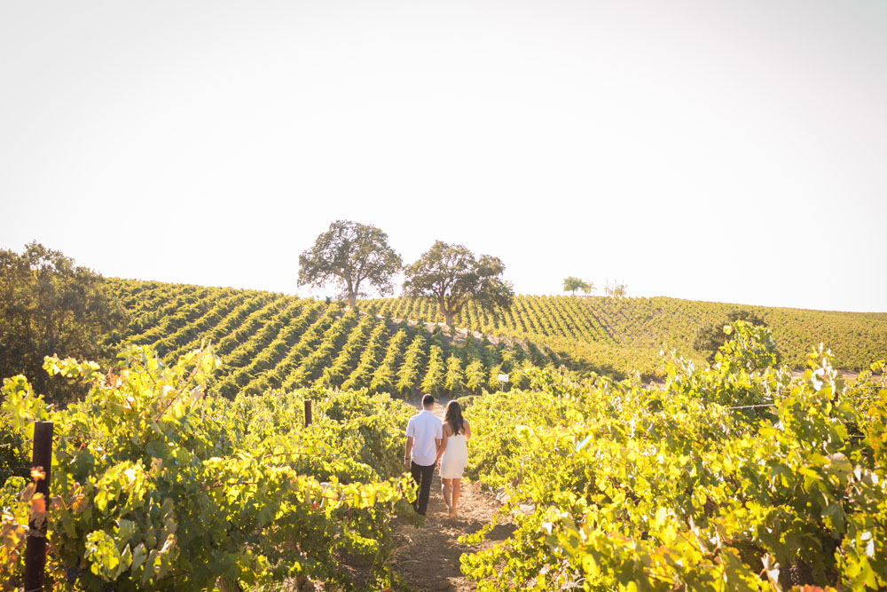 Paso Robles Wedding Photographer Vineyard Engagement Session 030.jpg