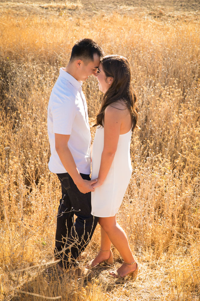 Paso Robles Wedding Photographer Vineyard Engagement Session 035.jpg