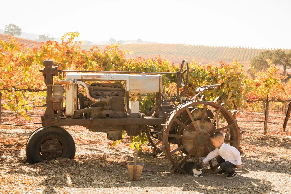 Paso Robles Family and Wedding Photographer Pomar Junction 025.jpg