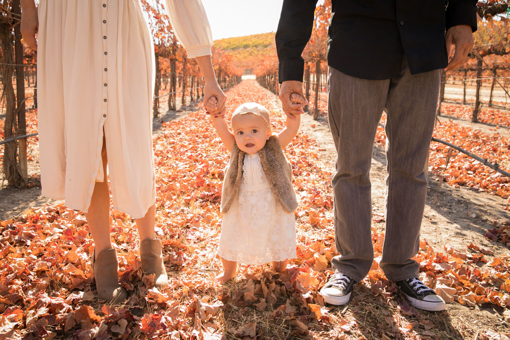 Paso Robles Family and Wedding Photographer Pomar Junction 071.jpg
