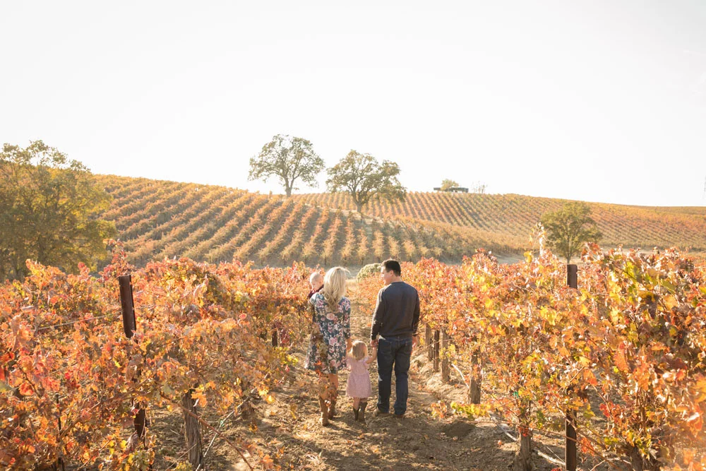 Paso Robles Family and Wedding Photographer Vineyard038.jpg