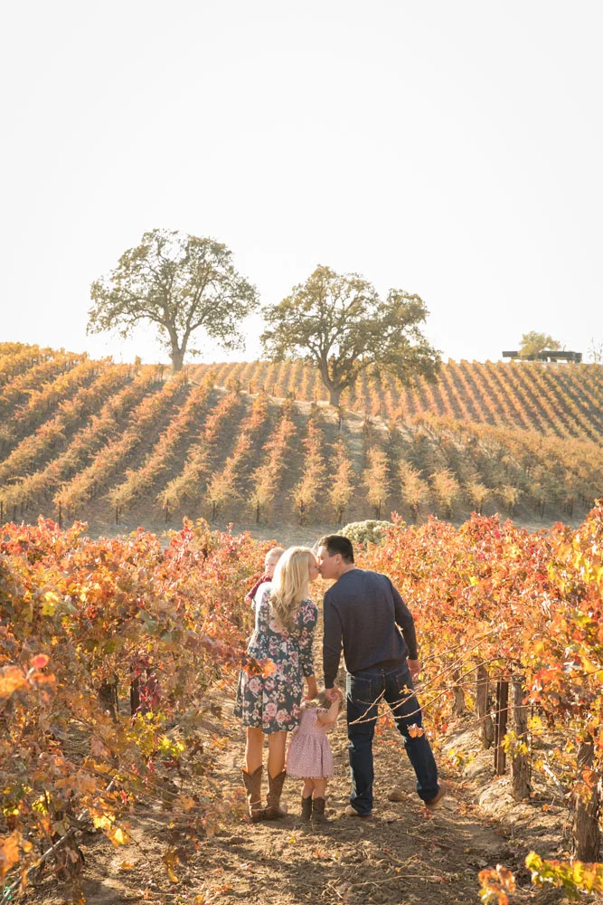 Paso Robles Family and Wedding Photographer Vineyard039.jpg
