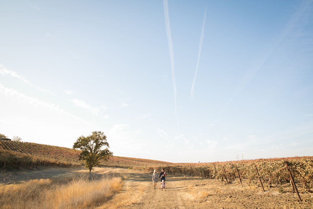 Paso Robles Family and Wedding Photographer Vineyard056.jpg