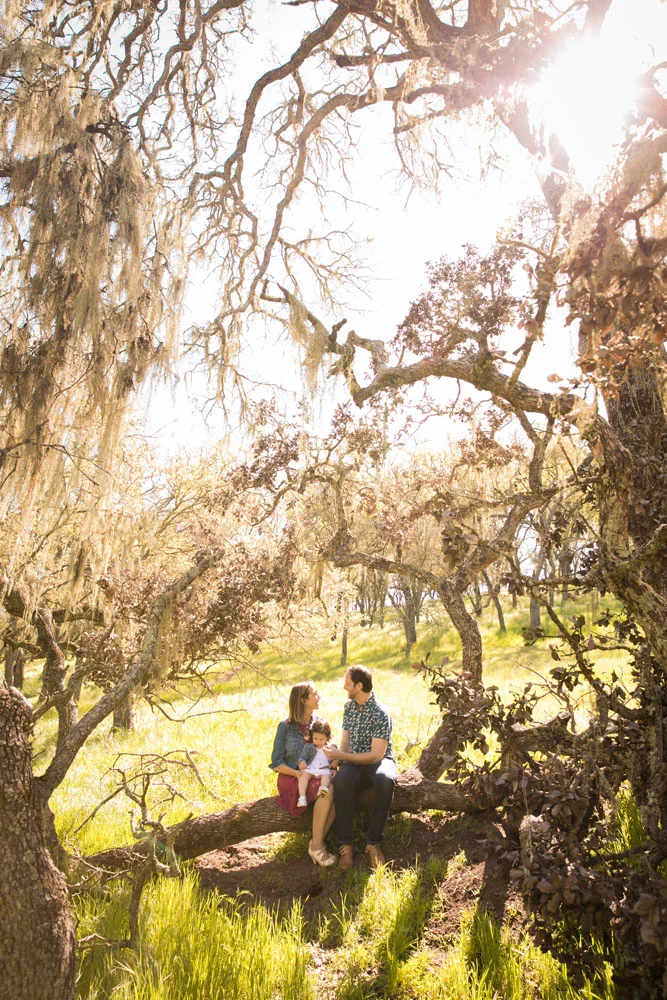 Paso Robles Wedding and Family Photographer 049.jpg