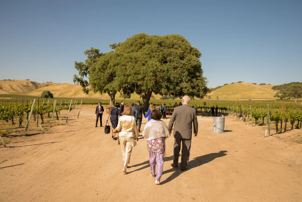 Paso Robles Wedding Photographer Cass Winery Allegretto Vineyard Resort 092.jpg