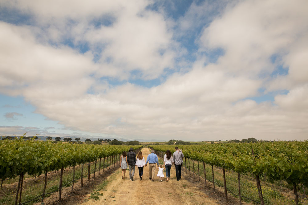 Paso Robles Family and Wedding Photographer Vineyard Family Session  004.jpg